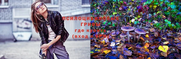 а пвп мука Абаза