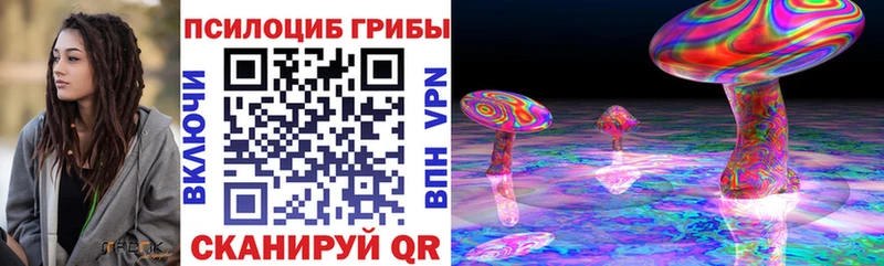 Псилоцибиновые грибы GOLDEN TEACHER Великий Новгород